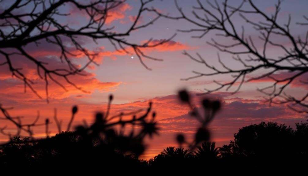 natural framing for sky shots